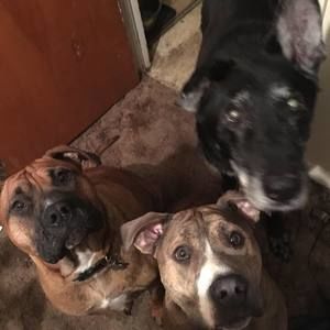 Meet your Posher, Treena